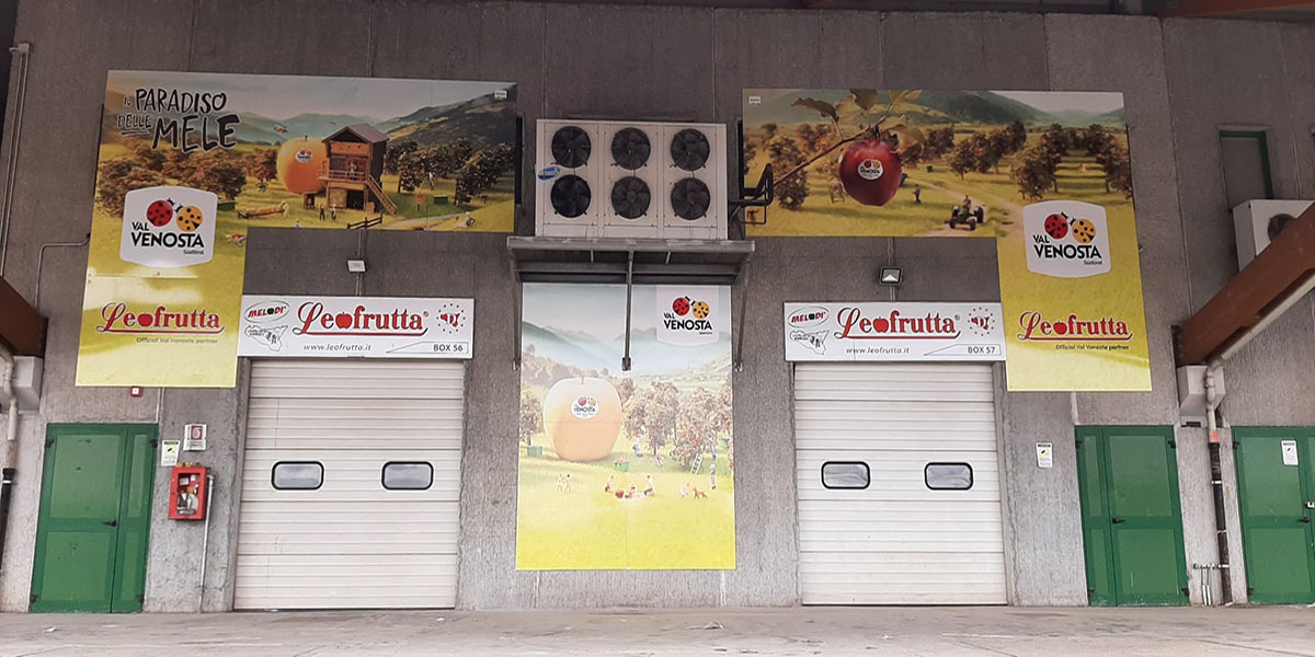 «Unione e regolamenti, come salvare il comparto»